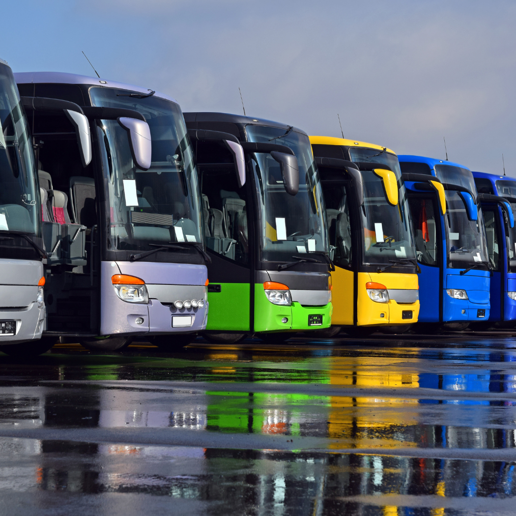 angkutan bus pariwisata