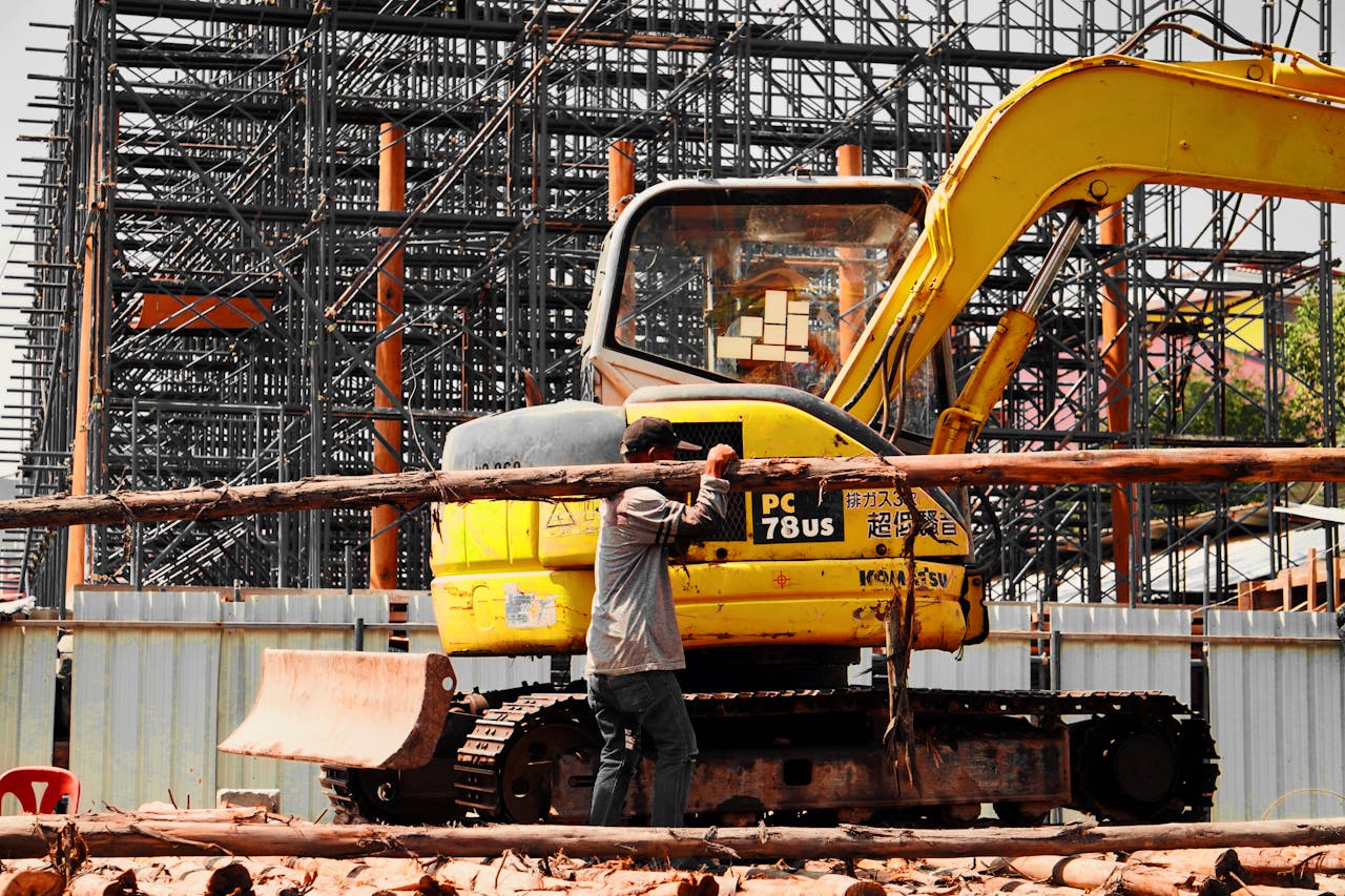 pexels photo 16069548.jpeg